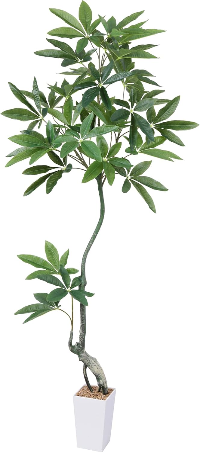 光触媒 人工観葉植物 ウォールグリーン フェイクグリーン カポック